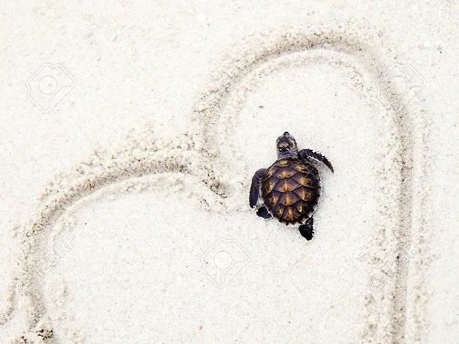 Anna Koralli דירה לגאנאס